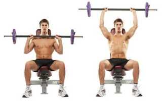 Жим Свенда: техника и варианты упражнения на грудные мышцы