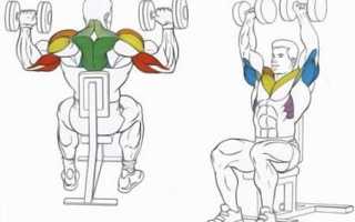 Программа тренировок для передних пучков дельт