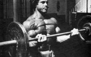 Правильная растяжка бицепса, или как правильно растянуть бицепс?