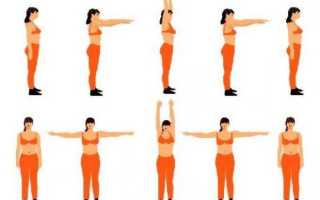 Разминка перед тренировкой: комплексы упражнений