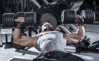 Периодизация в бодибилдинге