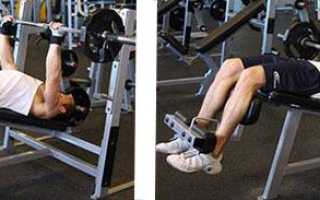 Как качать нижнюю часть грудных мышц дома и в зале