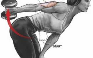 Тренировочная программа «Сильный трицепс»