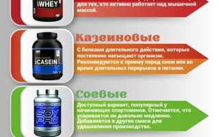 Протеин: что это такое для чего и зачем он нужен, вред и польза, как выбрать и чем заменить белок спортивного питания