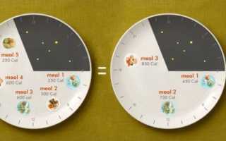 Сколько грамм белка усваивается за один прием пищи