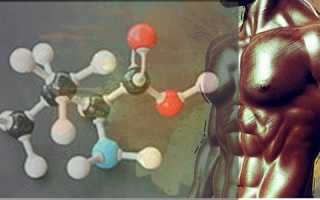 Валин – одна из незаменимых аминокислот в составе ВСАА, в чем ее польза?