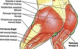 Как накачать ягодицы мужчине? Пошаговое руководство.