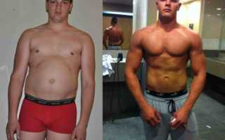 Базовая программа тренировок по бодибилдингу для новичков