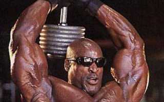 Самые эффективные упражнения для рук: качаем мышцы бицепса и трицепса в тренажерном зале и дома