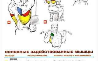 Горизонтальная тяга в блочном тренажере