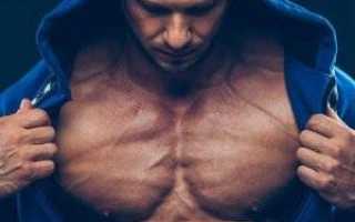 Желатин в бодибилдинге