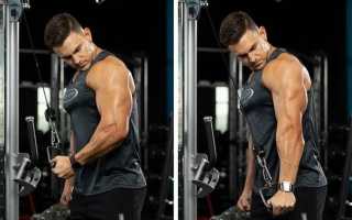 Как накачать средний пучок трицепса?