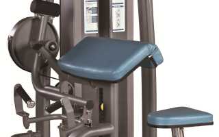 Упражнения для тренировки бицепсов