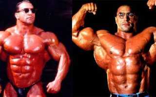 Непобедимый Нассер Эль Сонбати