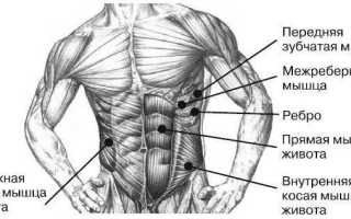 Как лучше всего качать пресс