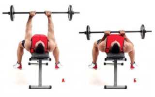 Топ-15 упражнений со штангой на все группы мышц: рекомендации для набора массы и похудения