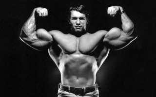 Месячная программа питания для набора мышечной массы