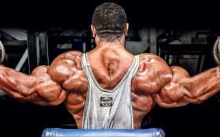 Как накачать мышцы в тренажерном зале