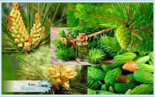 Как убрать жир с грудных мышц мужчине