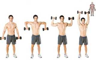 Подробно про кубинский жим