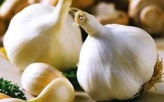 Еда для мозга: 11 лучших продуктов для улучшения памяти и работы мозга