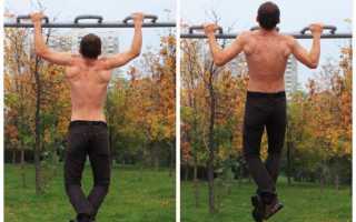 Как накачать широчайшие мышцы спины гантелями?