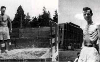 Аутофагия — как правильно голодать: о периодическом голодании с отзывами