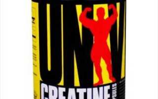 Прием креатина: ответы на популярные вопросы новичков