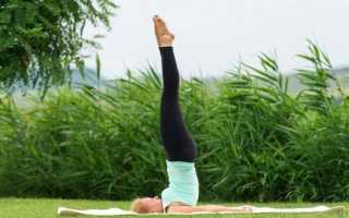 Упражнение березка