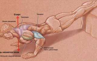 Отжимания от турника сверху – техника упражнения для груди и мышц плечевого пояса