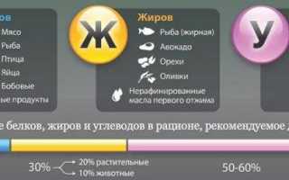 Суточная норма: белки, жиры, углеводы