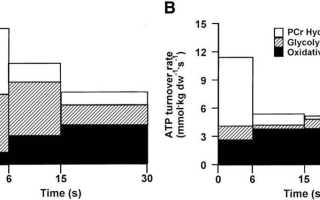 Почему силовые лучше кардио: 6 неопровержимых фото доказательств