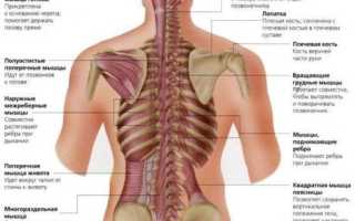 Ноющая боль под левой и правой лопаткой сзади со спины: 20 причин, почему болит и что делать?