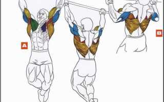 Как накачать бицепс подтягиваниями на турнике