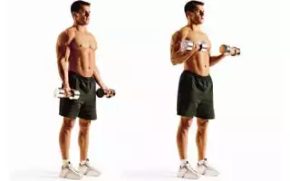 Изолирующие упражнения: список на все мышцы для дома и зала