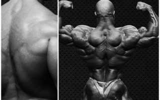 Что такое пампинг мышц и как его правильно использовать