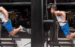 Отжимания на брусьях: какие мышцы работают, варианты в грудном стиле и для проработки трицепсов